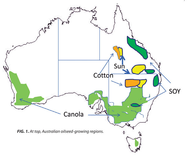 AUSTRALIA Oilseeds