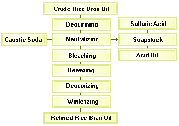 rice bran oil refining process 